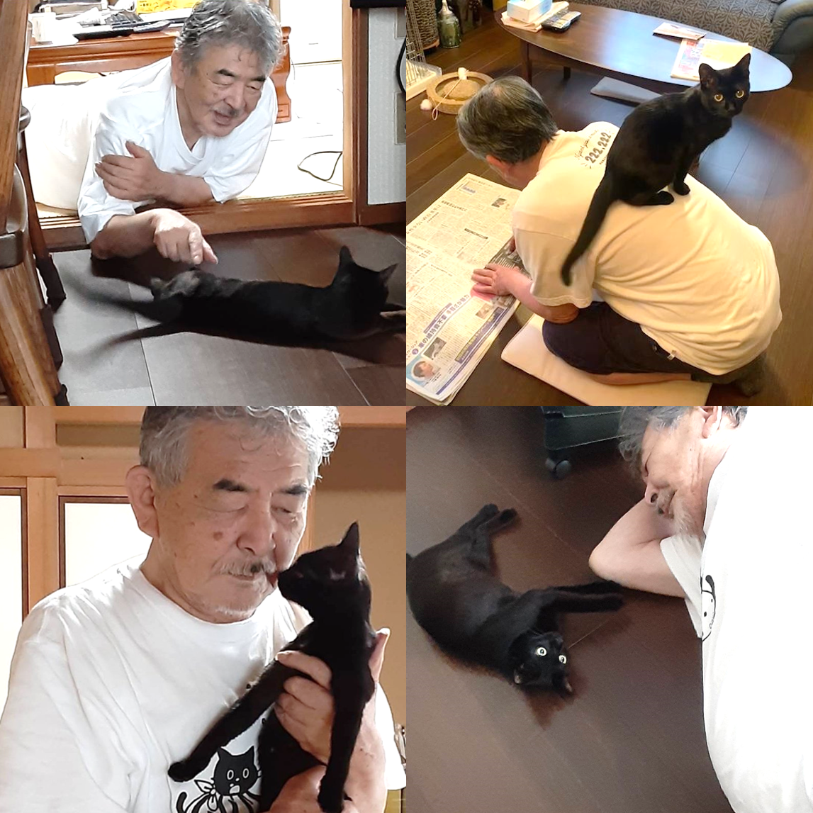 原PO經常在推特分享爸爸與黑貓RURU的可愛日常,笑稱通常是寵物會越來越像飼主,但爸爸卻是逐漸貓化。(圖片翻攝推特@ turi2018)