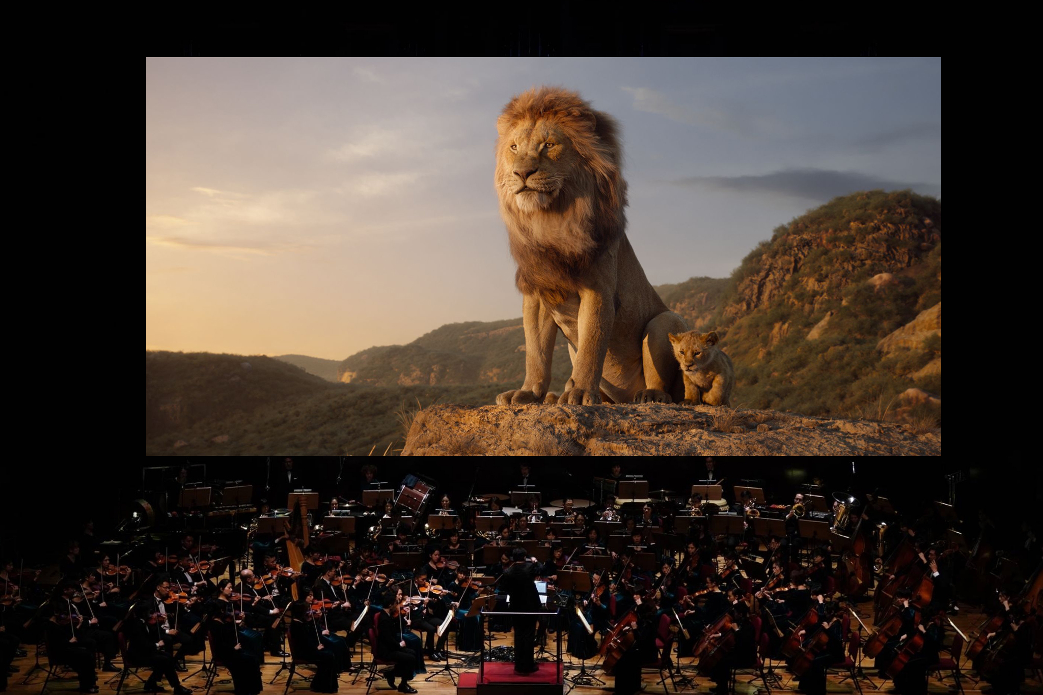 迪士尼擬真版動畫電影《獅子王》12月將以電影交響音樂會形式再度登台。（牛耳藝術提供）