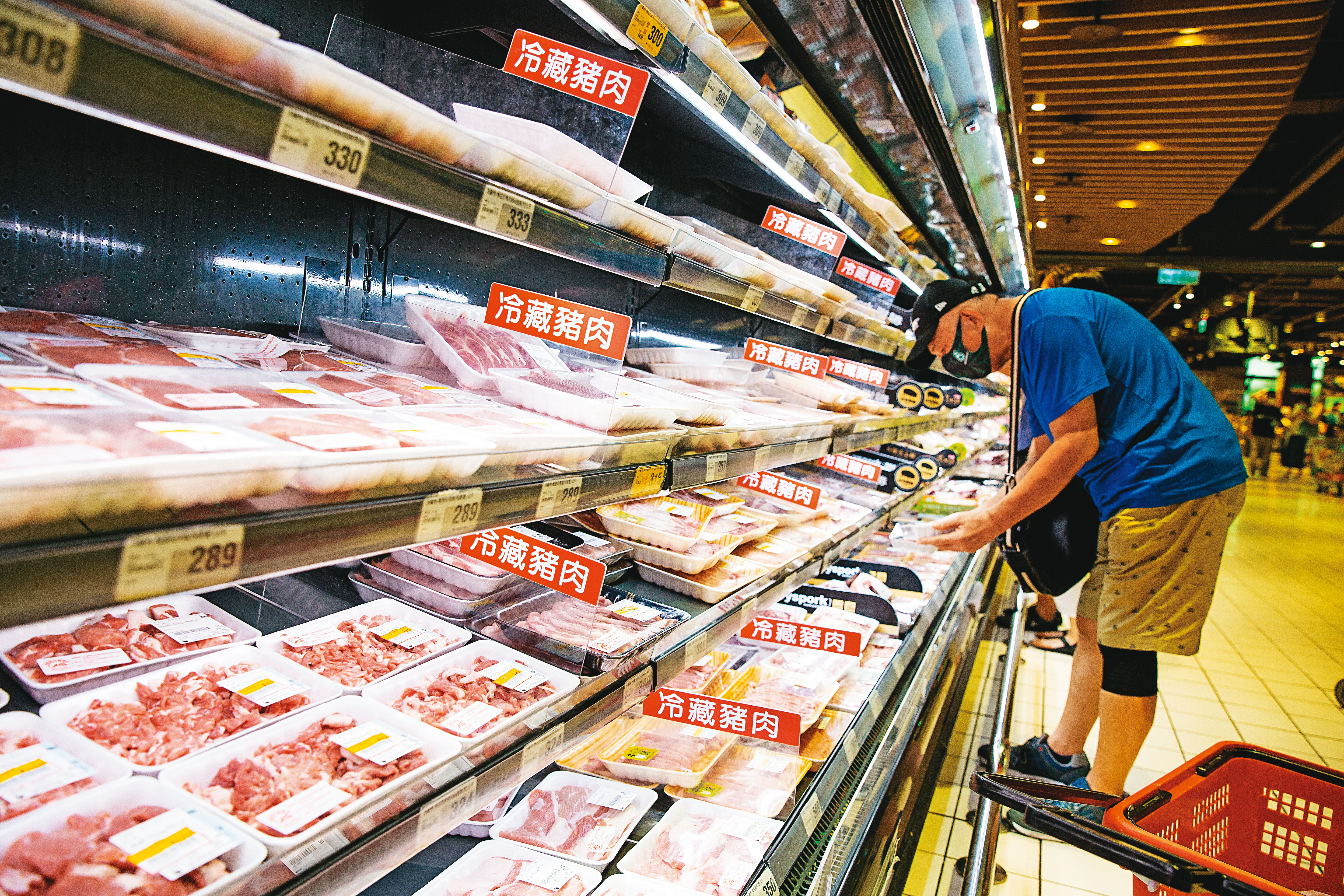 開放含萊克多巴胺的美豬進口,是這次公投最被熱議的議題。(示意圖)