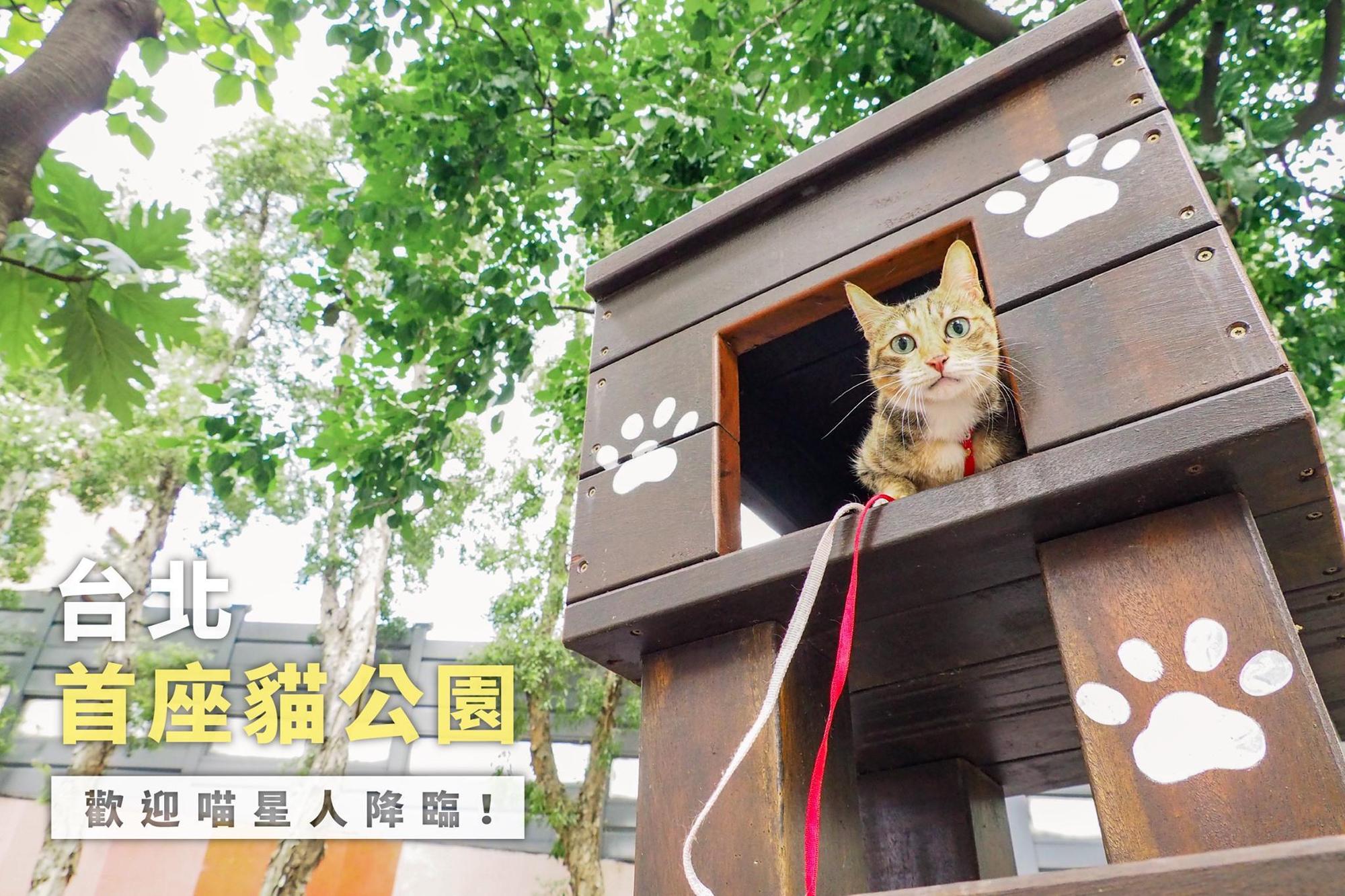 柯文哲於臉書宣傳台北市首座「貓公園」，邀請貓奴帶著喵星人來專屬貓公園散散步，不過卻引來兩極評論。（翻攝自柯文哲臉書）