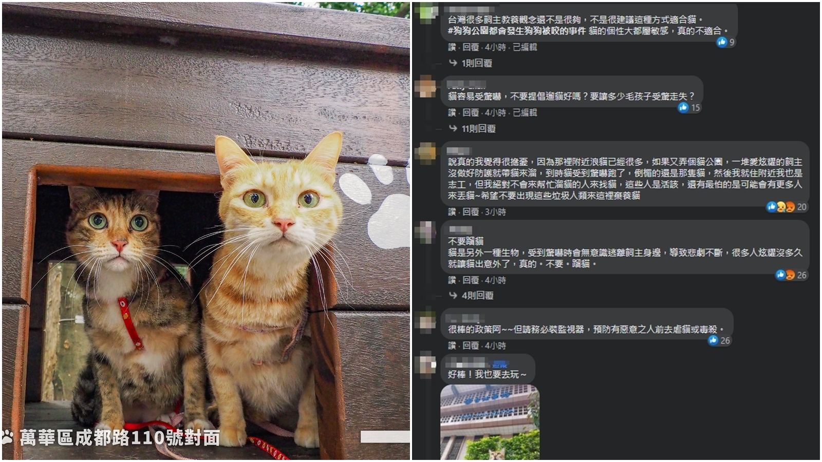 柯文哲於臉書宣傳台北市首座「貓公園」,邀請貓奴帶著喵星人來專屬貓公園散散步,不過卻引來兩極評論。(翻攝自柯文哲臉書)