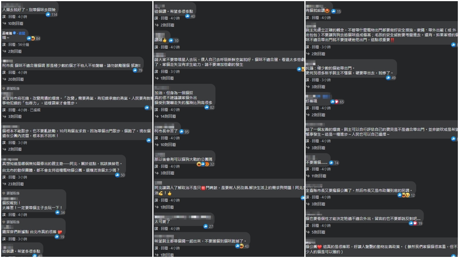 有不少網友認為,貓咪不適合遛貓。(翻攝自柯文哲臉書)