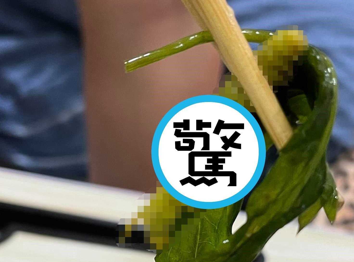 一名女網友分享吃越南料理夾到一隻大菜蟲。(翻攝自爆廢公社)