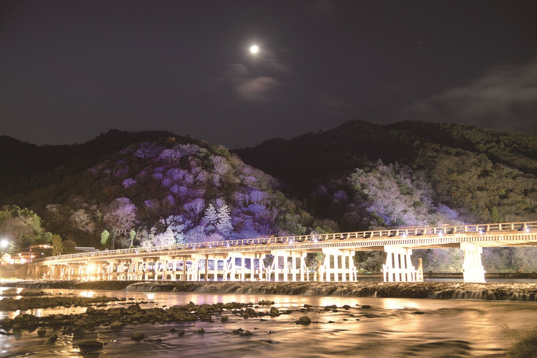 京都的花燈路,是許多旅客過去到訪京都的目的地。(京都市台灣推廣事務所提供)