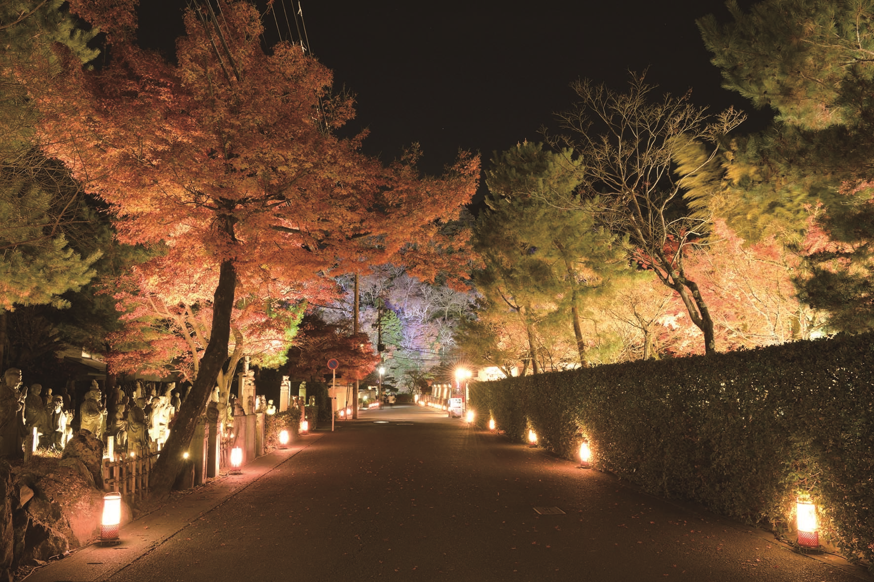走在花燈路上,夜間格外有魅力。(京都市台灣推廣事務所提供)