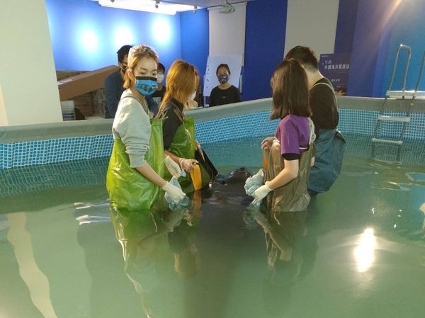 大霈穿著青蛙裝和獸醫一起救援偽虎鯨。（大霈經紀人提供）