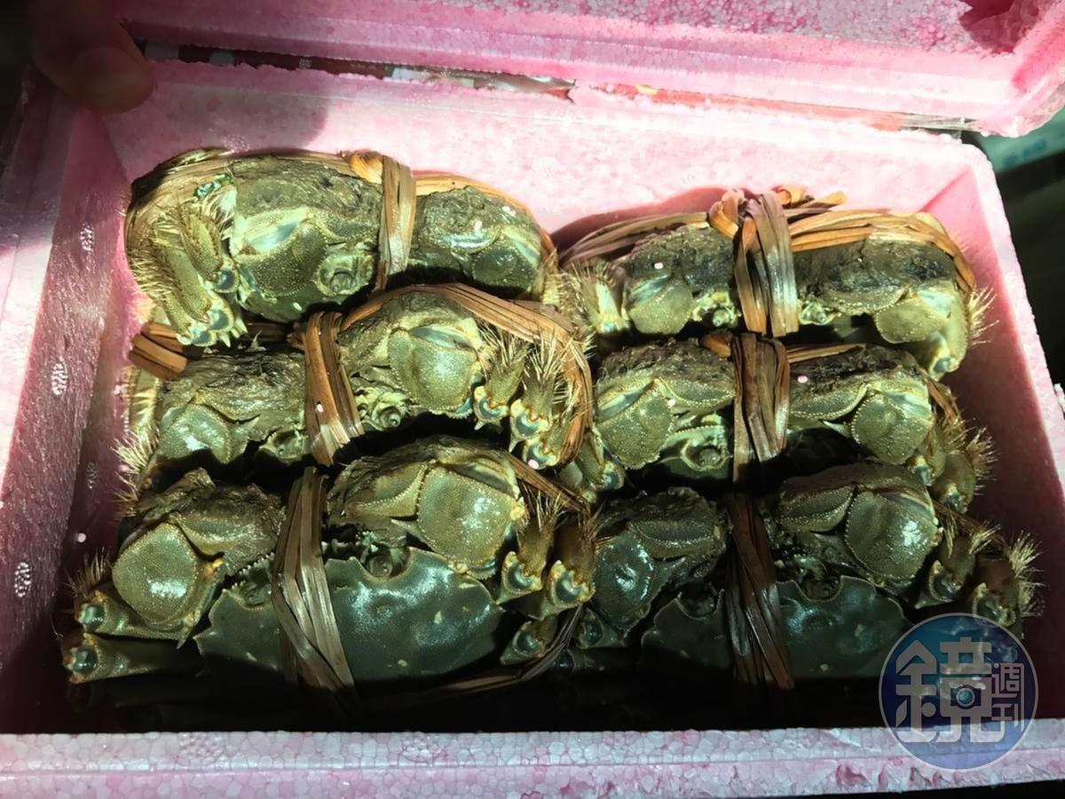英國研究指出螃蟹擁有「強烈感覺」,未來將受當地《動物福利法》保護。(本刊資料照)
