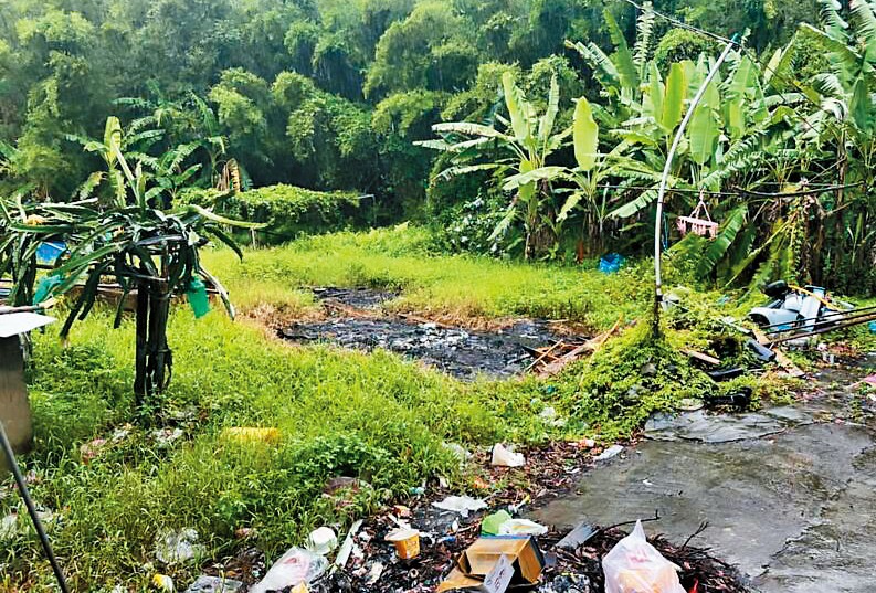 姚女教唆小王殺夫後，將死者搬到住處旁的菜園，潑灑汽油焚屍。（警方提供）