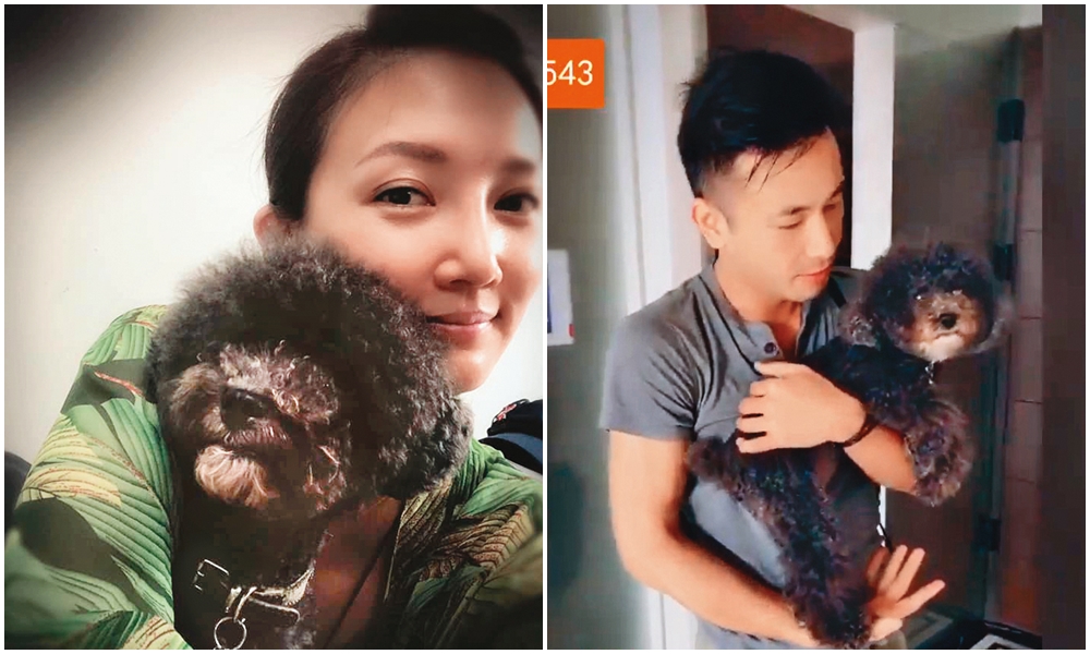 李小姐曾在社群網站上曬出與愛犬的親子照，傅子純也把對小孩的盼望放在雙犬身上。（翻攝自網路、傅子純IG）