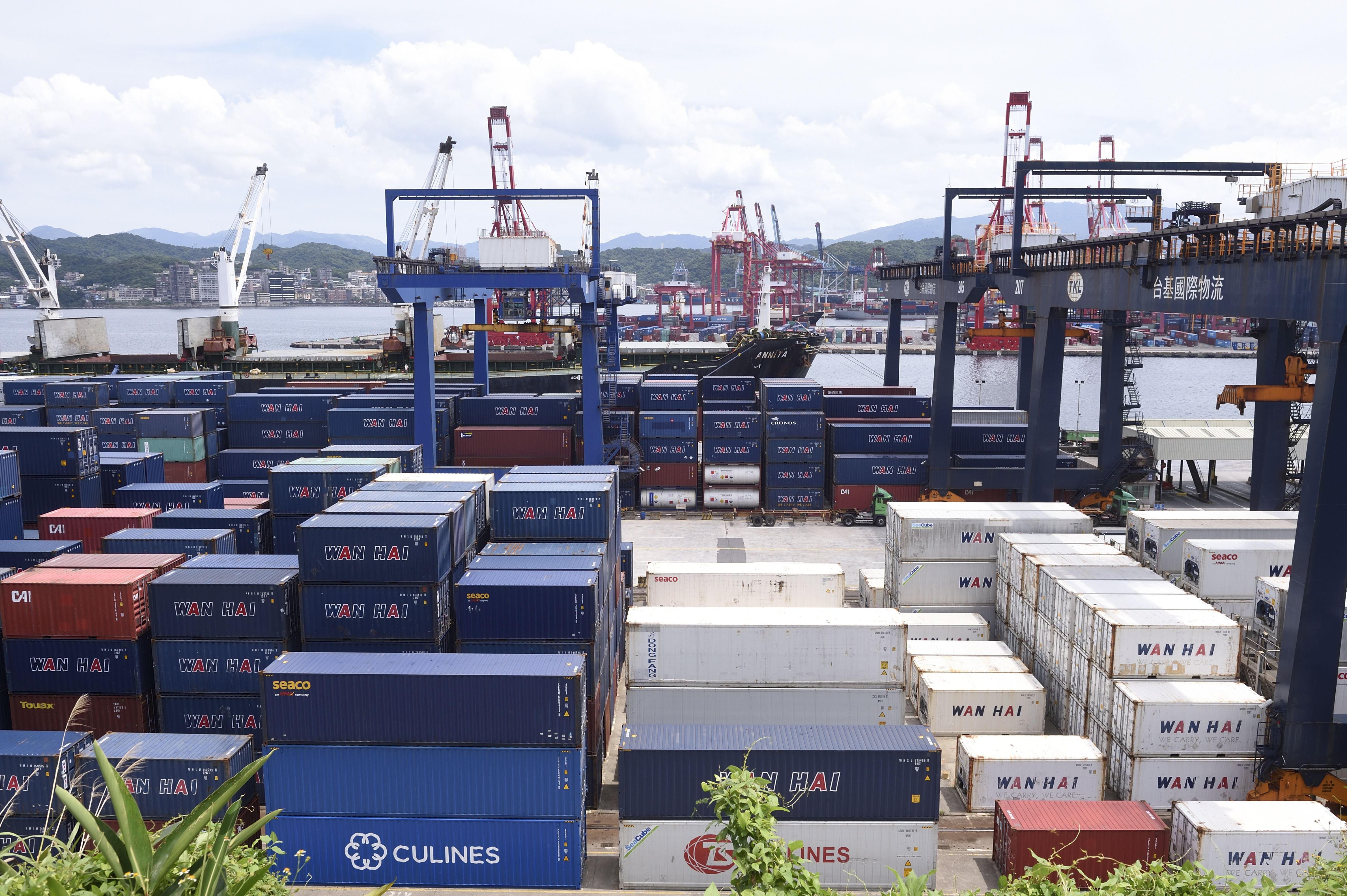 航海王今年獲利大豐收，股價自高點回落，明年配息表現仍可期待。