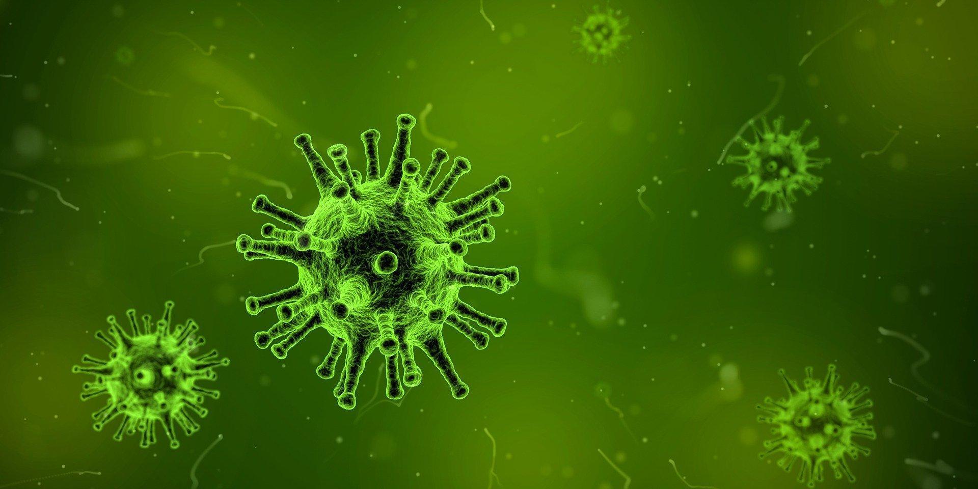 智利、羅馬尼亞皆發現首例新冠肺炎Omicron確診病例。(示意圖,翻攝自Pixabay)