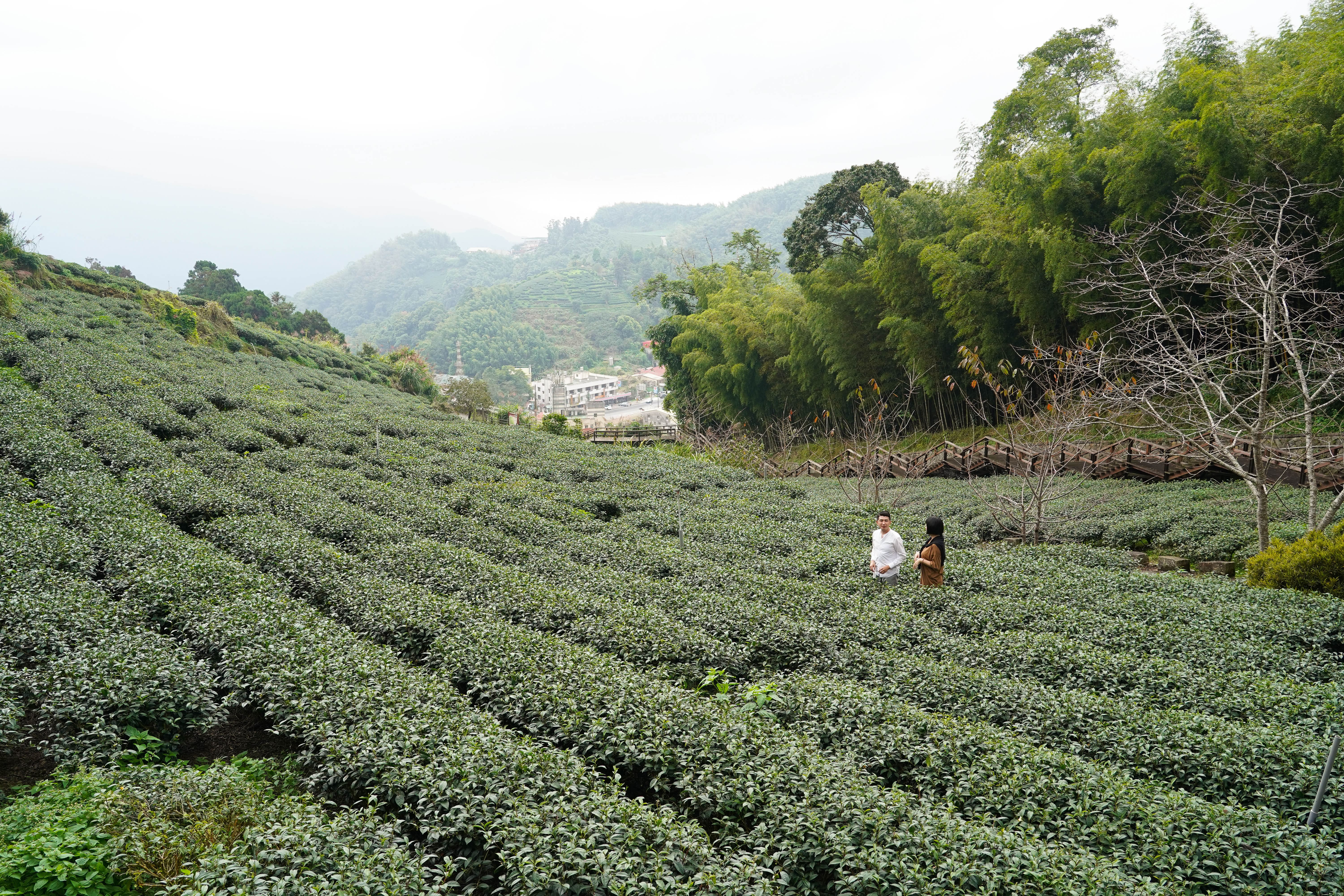 除了品茶，甘澍也有客製茶旅，除了學習茶文化，更是與大自然的對談。