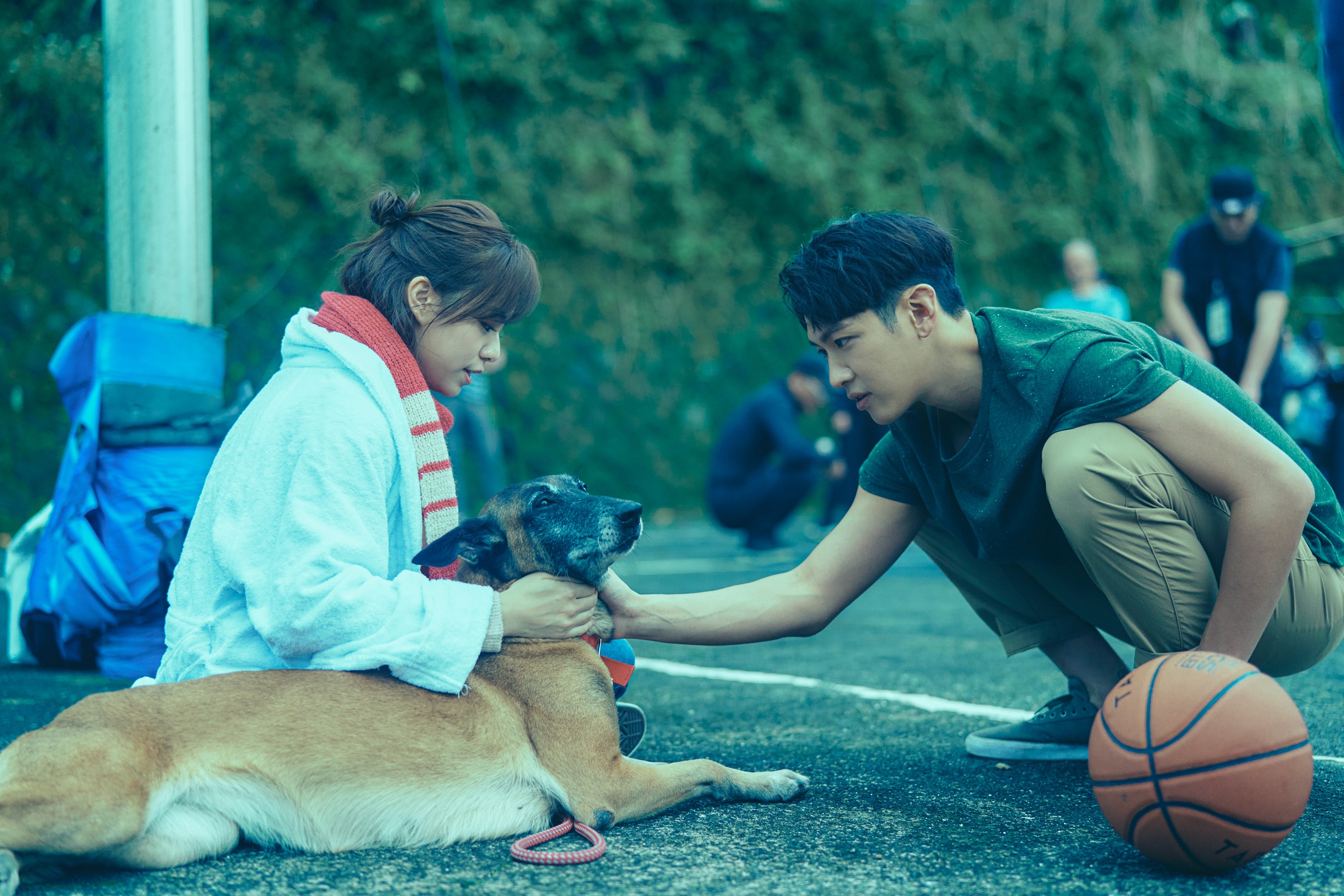 《月老》裡宋芸樺飼養的狗狗「阿魯」成為全片哭點擔當，許多人誤以為牠表演是由特效加工，其實不然。（傳影互動）