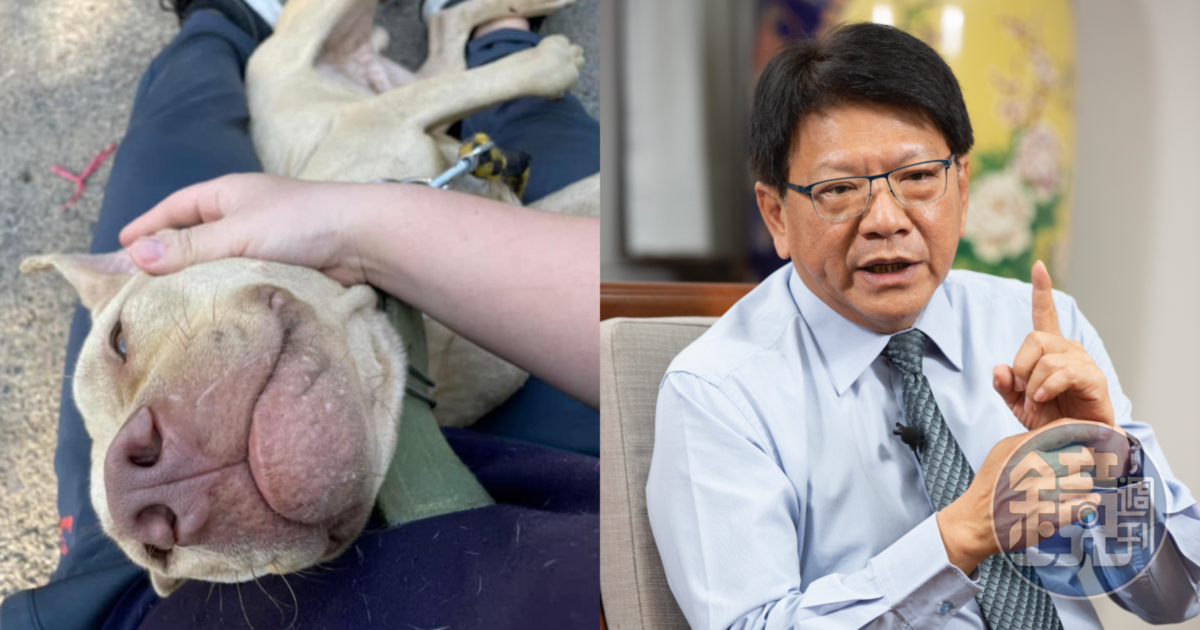 屏東咬死人的比特犬恐遭安樂死，縣長潘孟安對此做出回應。（翻攝自臉書、本刊資料照）