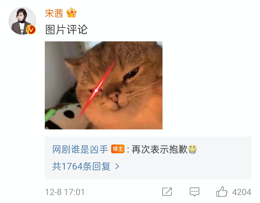 《誰是兇手》劇組公開道歉，宋茜也在底下作出回應。（截圖誰是兇手微博）