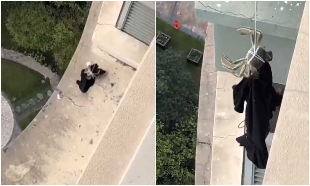 微博網友分享「用大閘蟹夾衣服」的影片掀起熱議。（翻攝微博）