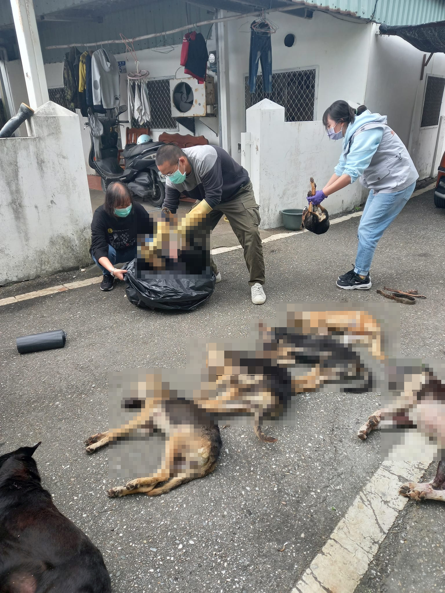 當地動保人士含淚清理犬隻屍體。（翻攝花蓮貓狗送養及走失協尋專區臉書）