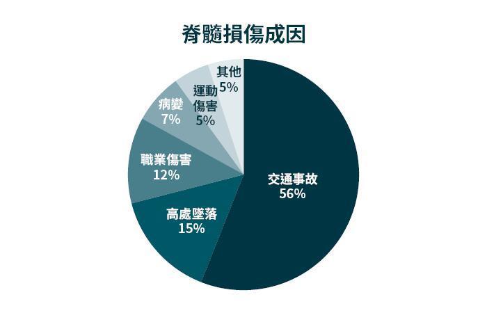 脊髓損傷成因。