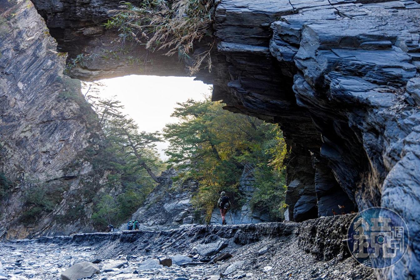 路途中遇見峭壁與樹木交織而成的風景。