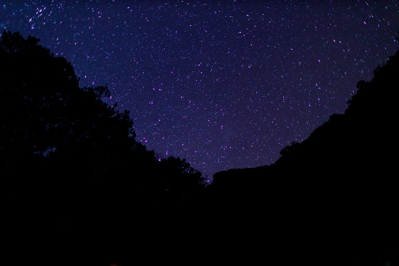 夜晚的星光亮得讓人移不開眼睛。