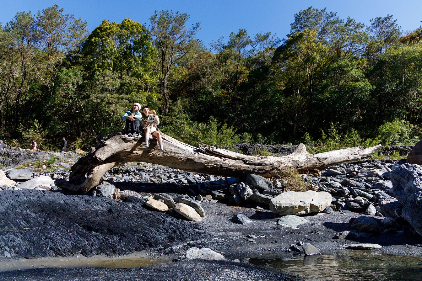 大型枯木成為我們的天然餐桌，在此享受一頓美好的早餐。