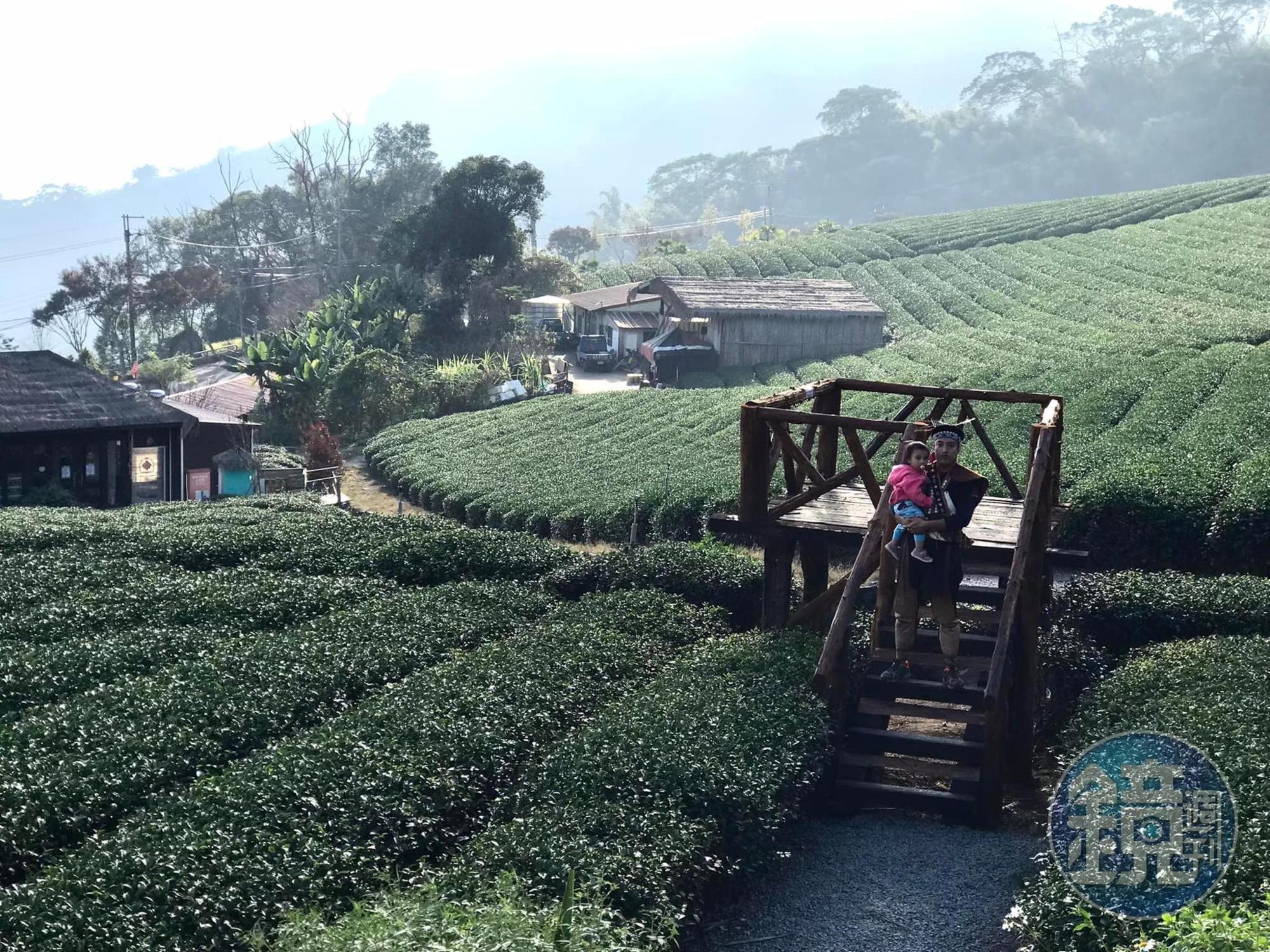台灣製茶發酵、烘焙等技術,可提供作為咖啡後製處理時獨步全球的強項。