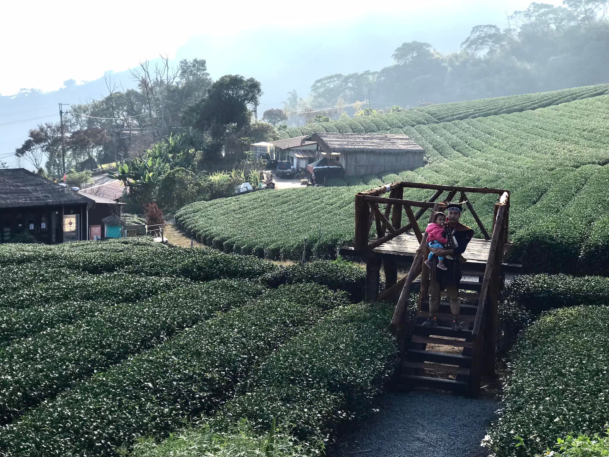 台灣製茶發酵、烘焙等技術，可提供作為咖啡後製處理時獨步全球的強項。