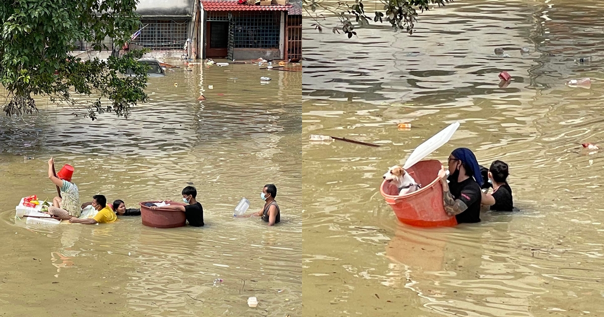 馬來西亞洪災造成多人死亡，政府反應慢半拍讓居民相當憤怒。（翻攝自Allen Chee臉書）