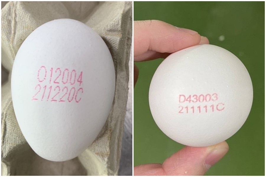 農委會將於元旦起正式實施雞蛋噴印溯源標示政策。（農委會提供）