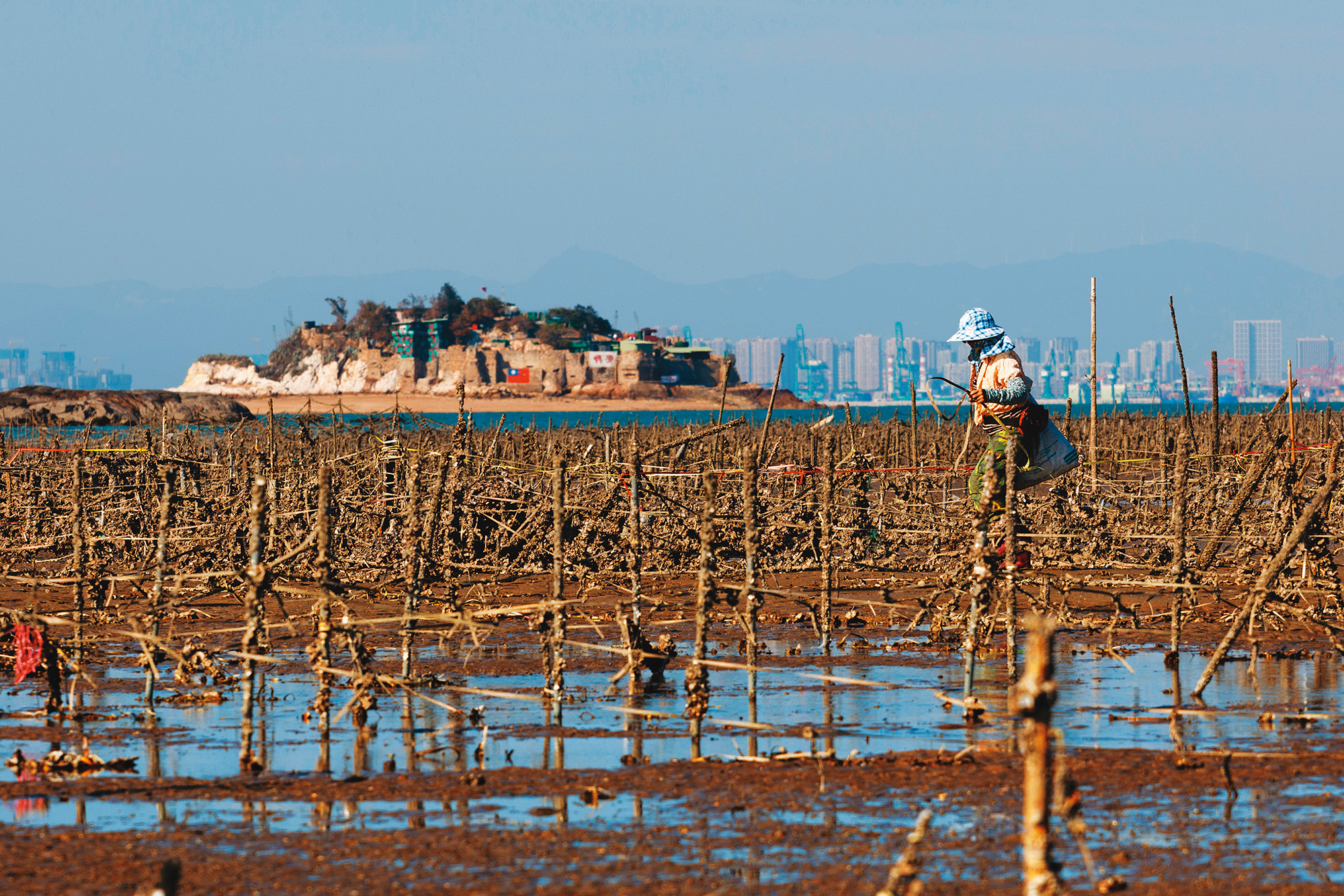 退潮時，能看見當地人走進蚵田採收，後方近處是挺立在海上的獅嶼，以及近在咫尺的廈門。