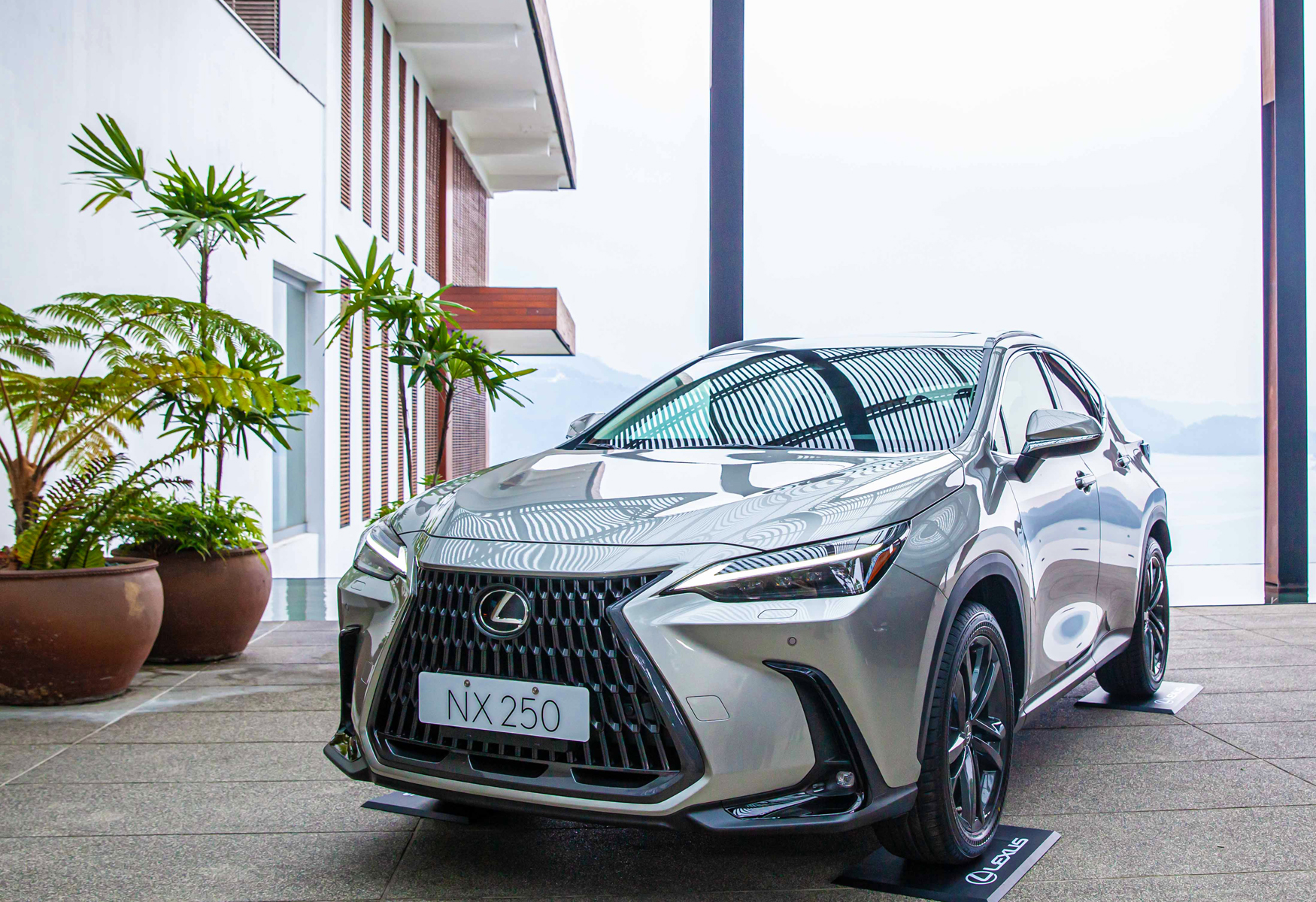 【新車登場】豪華休旅霸主！全新第二代LEXUS NX