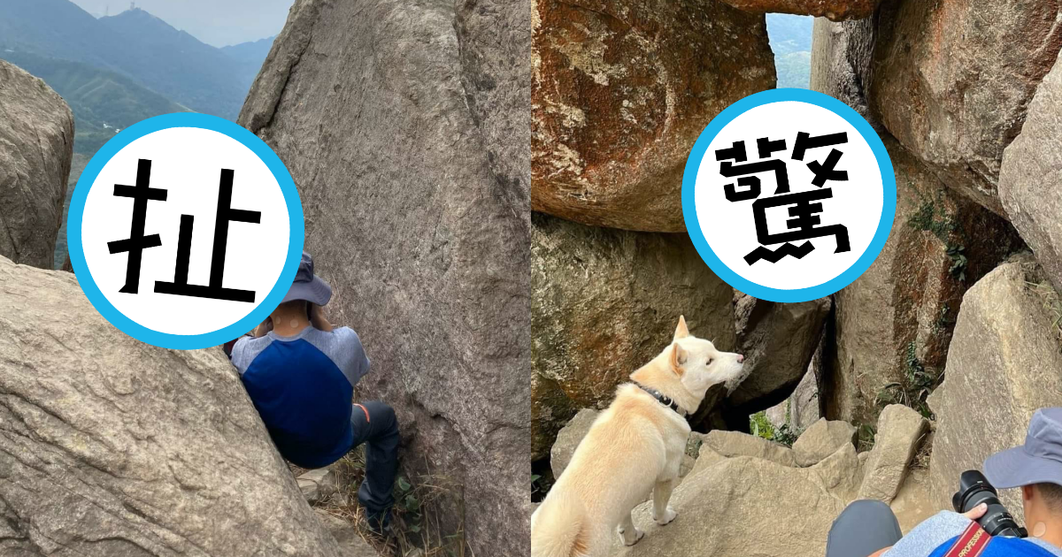 狗狗被放上懸崖的岩石擺拍,畫面相當驚險。(翻攝自香港突發事故報料區臉書)