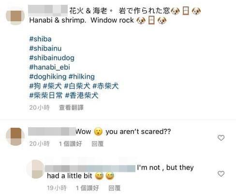 狗主人坦言狗狗有點害怕。(翻攝自臉書)