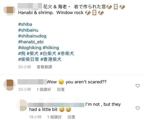 狗主人坦言狗狗有點害怕。(翻攝自臉書)