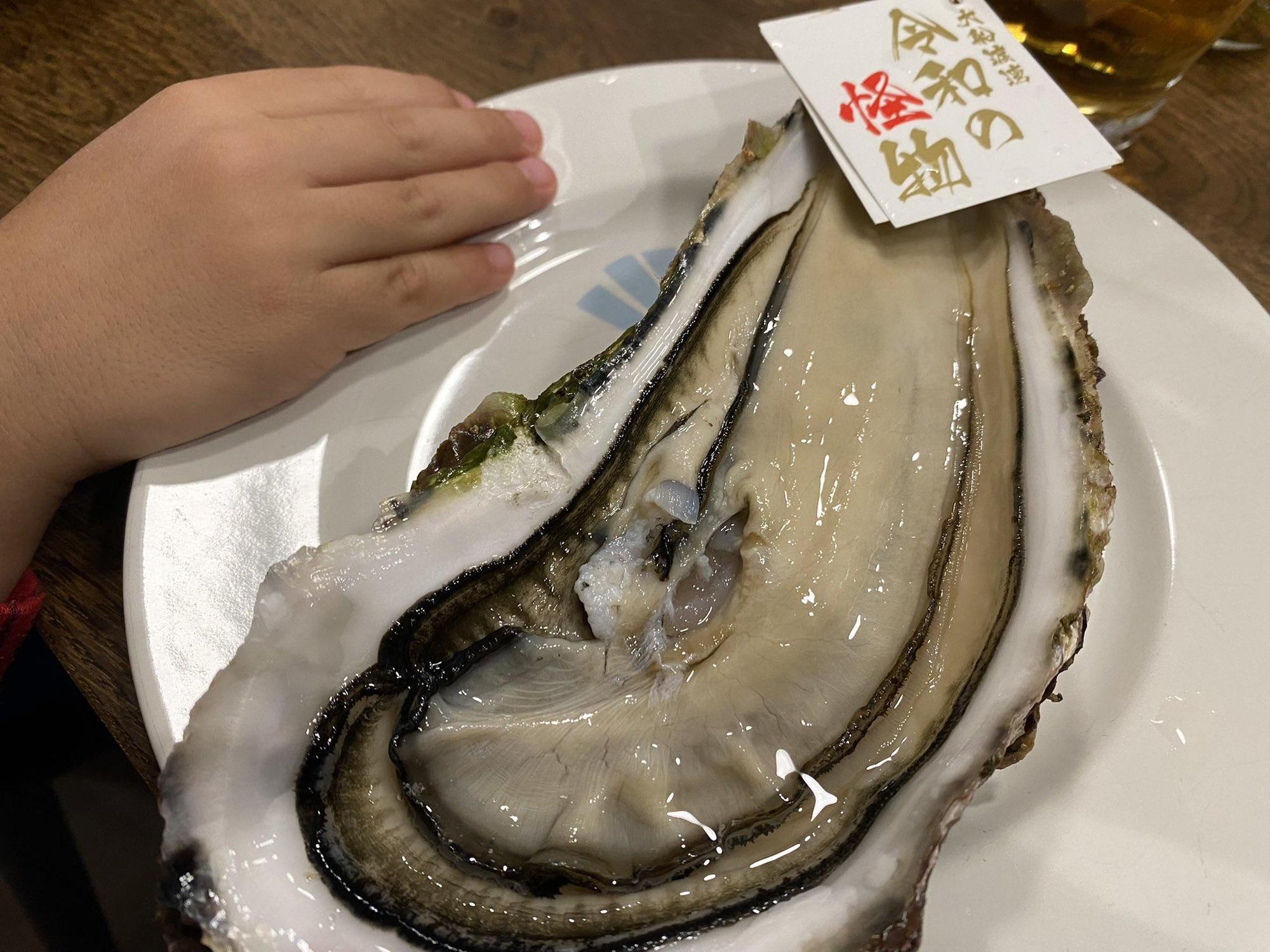 有日本網友在推特上po出一張近20公分的巨無霸牡蠣照片，直呼它大到簡直是「令和怪物」。（翻攝自@MitsuPongPong推特）