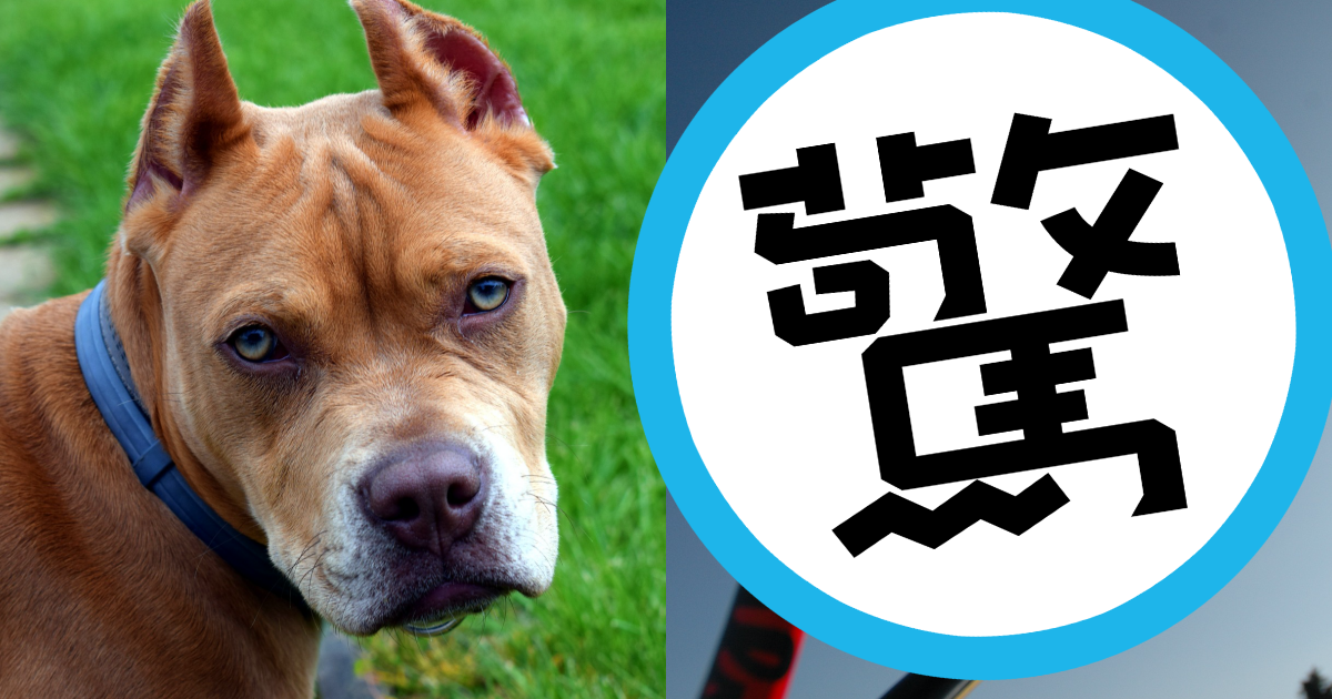 雲林一名郵差在送信時被比特犬咬傷，他也分享好用的「防犬神器」。（示意圖，翻攝自pixabay）