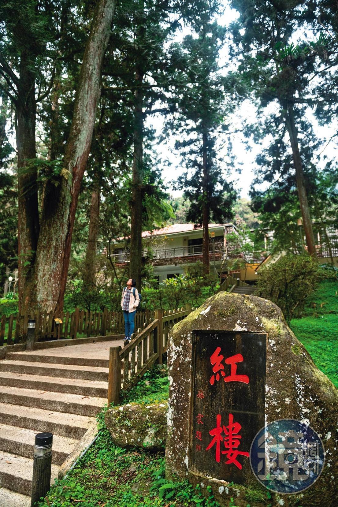 被綠樹所環抱的「紅樓」住宿區。