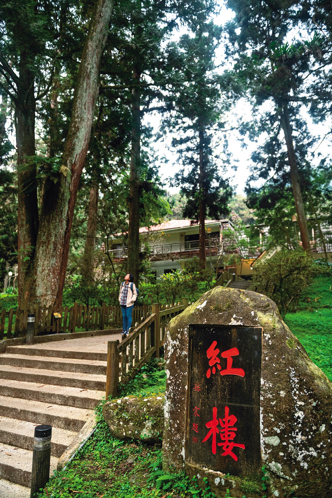 被綠樹所環抱的「紅樓」住宿區。