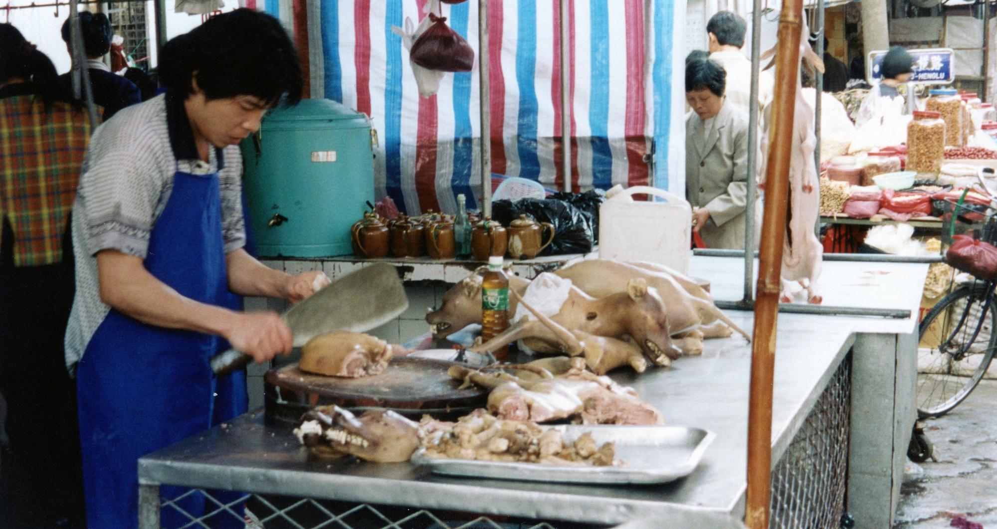 經國際動保團體指出,中國境內仍有食用狗肉的習俗。(示意圖,翻攝維基百科)