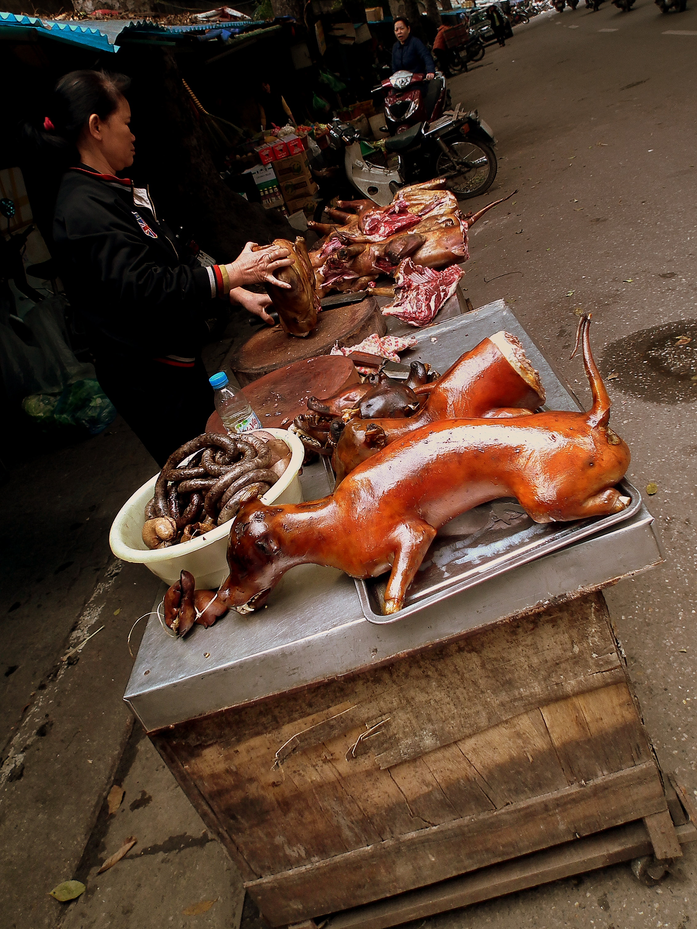 據調查指出,中國境內每年宰殺超過1000萬頭犬隻食用。(示意圖,翻攝維基百科)