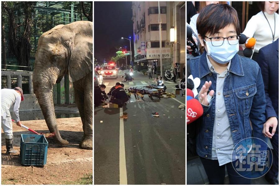 李艷秋說最近有幾件小事正在發生，其實都是大事。（翻攝自壽山動物園臉書、翻攝畫面、本刊資料照）