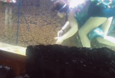 中國一位大媽在自家客廳魚缸裡潛水撈魚,影片引發討論。(翻攝自微博)