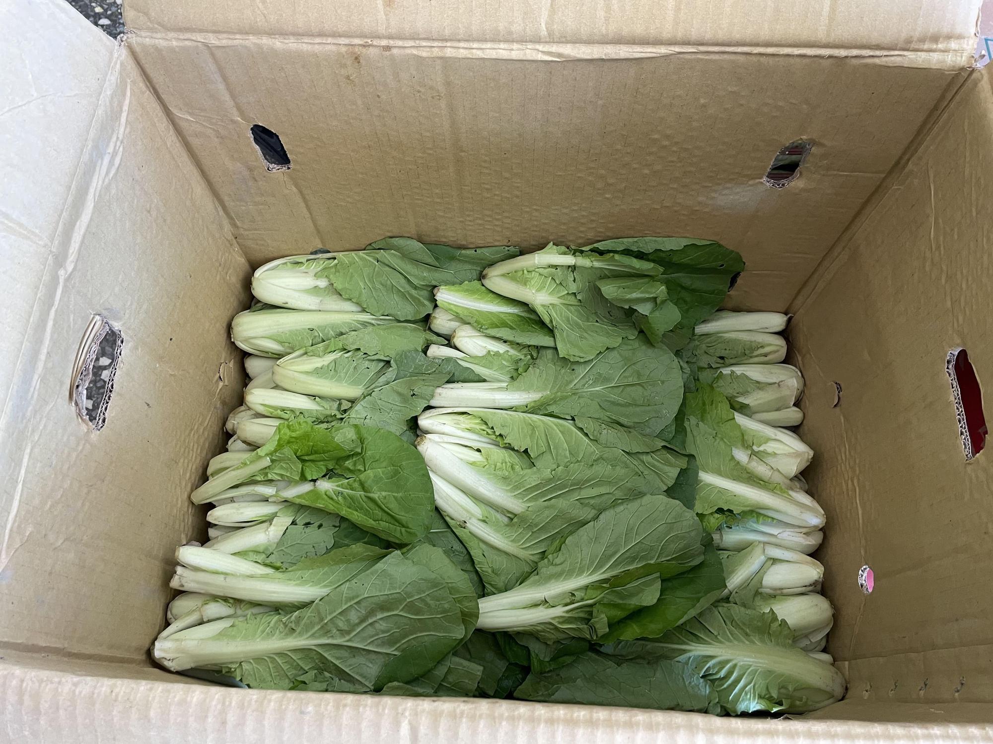 市場攤商販售的「蚵白菜」,被檢出殘留農藥。(北市府提供)