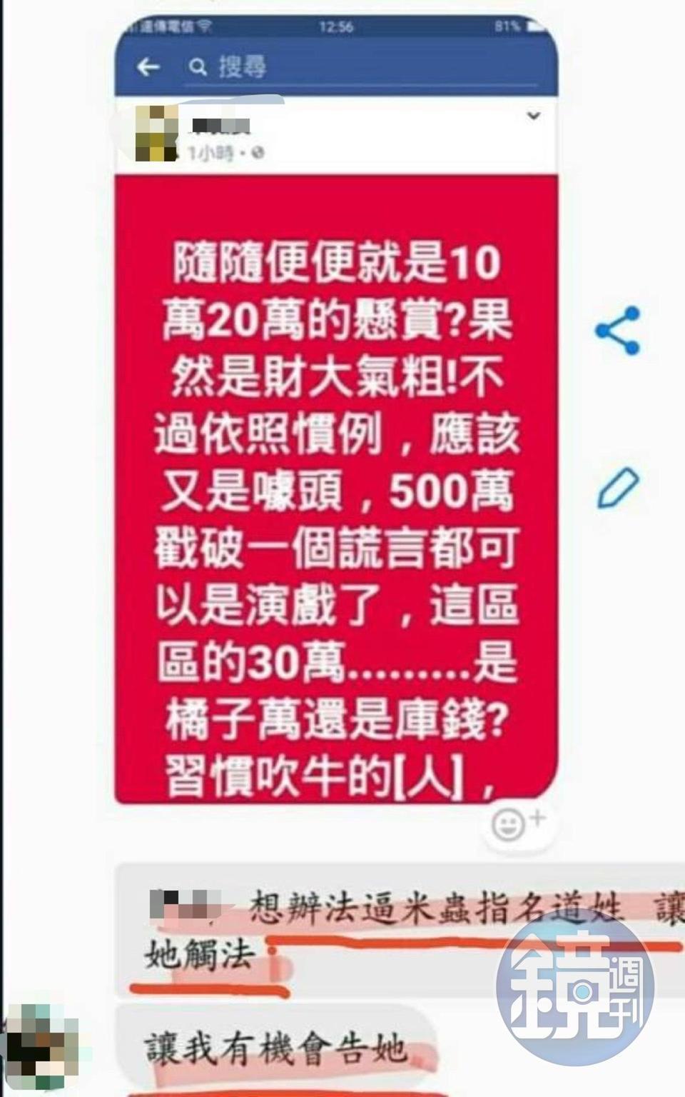 林女曾對網友下指導棋，要對方設局陷害其他愛媽。（讀者提供）