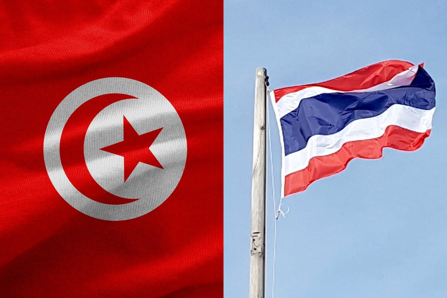 2010年國際間發生許多大事，其中從突尼西亞吹起的「阿拉伯之春」和泰國反政府的「紅衫軍抗議」皆在同年發生。（示意圖，Pixbay）