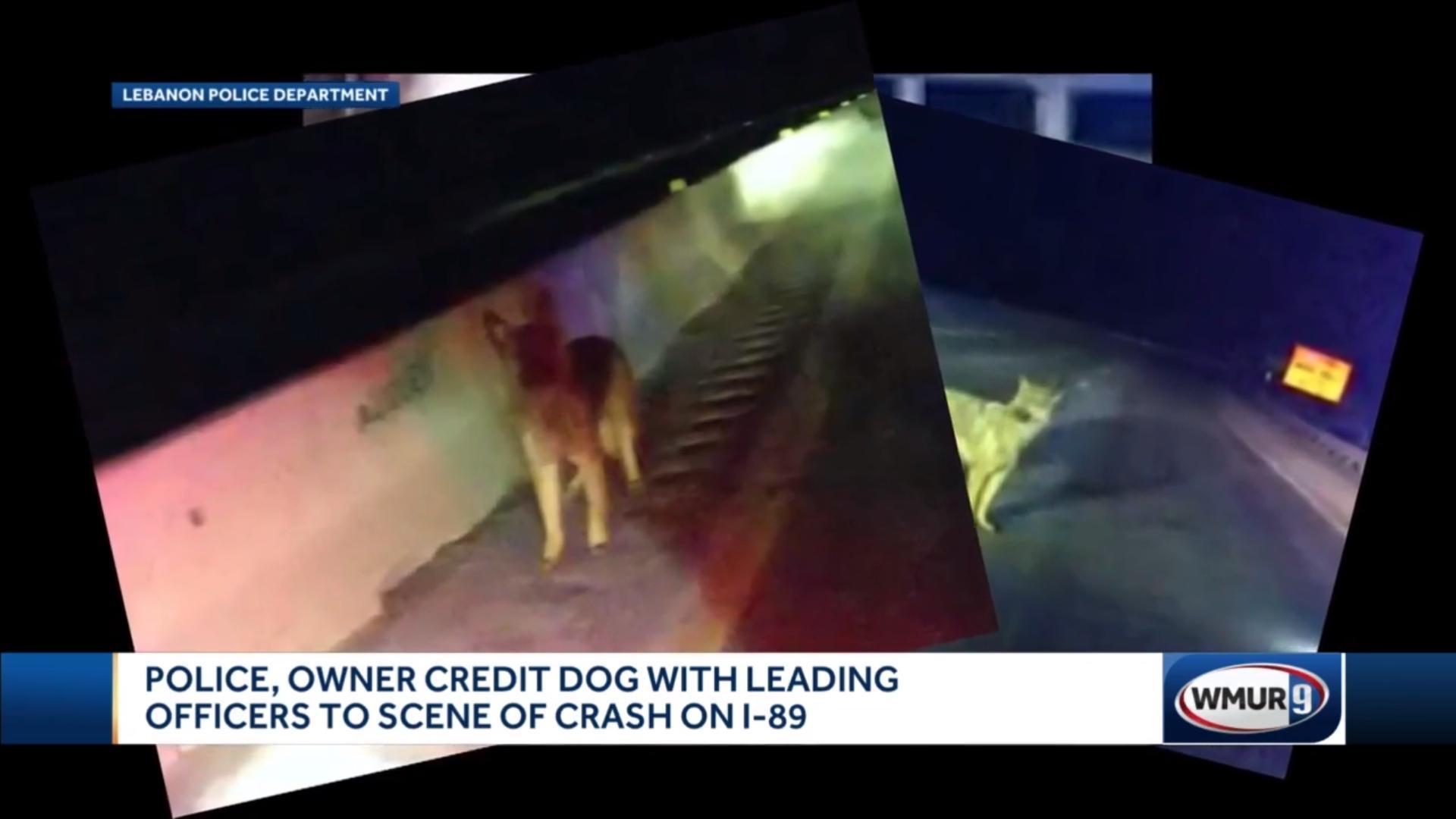 德國牧羊犬的主人受困在車內,牠聰明地帶警方到事故現場,最後成功救出2人。(翻攝自WMUR-TV)
