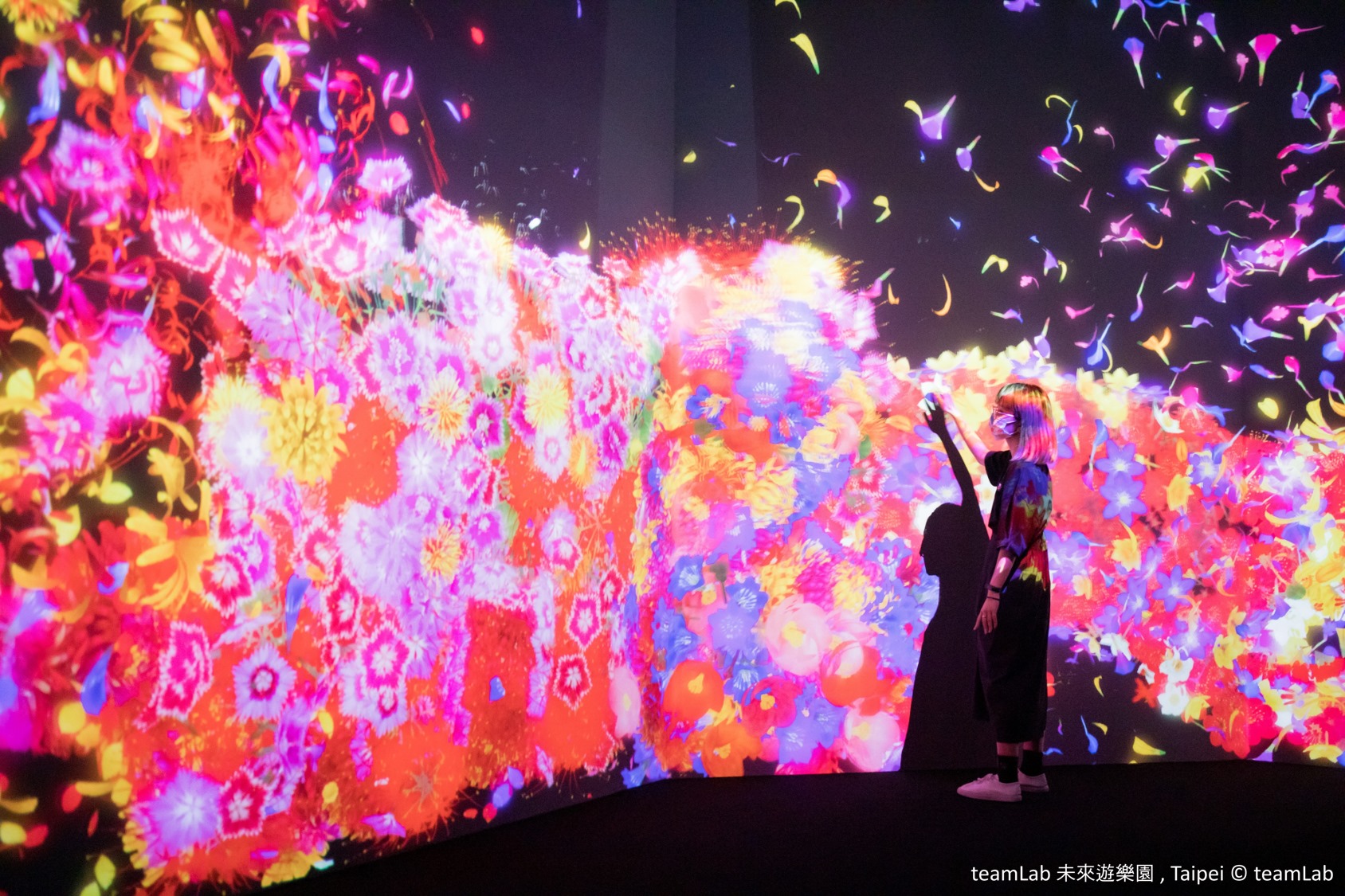 只要輕觸光影，花朵就會散開凋零。（取自teamLab 未來遊樂園臉書）