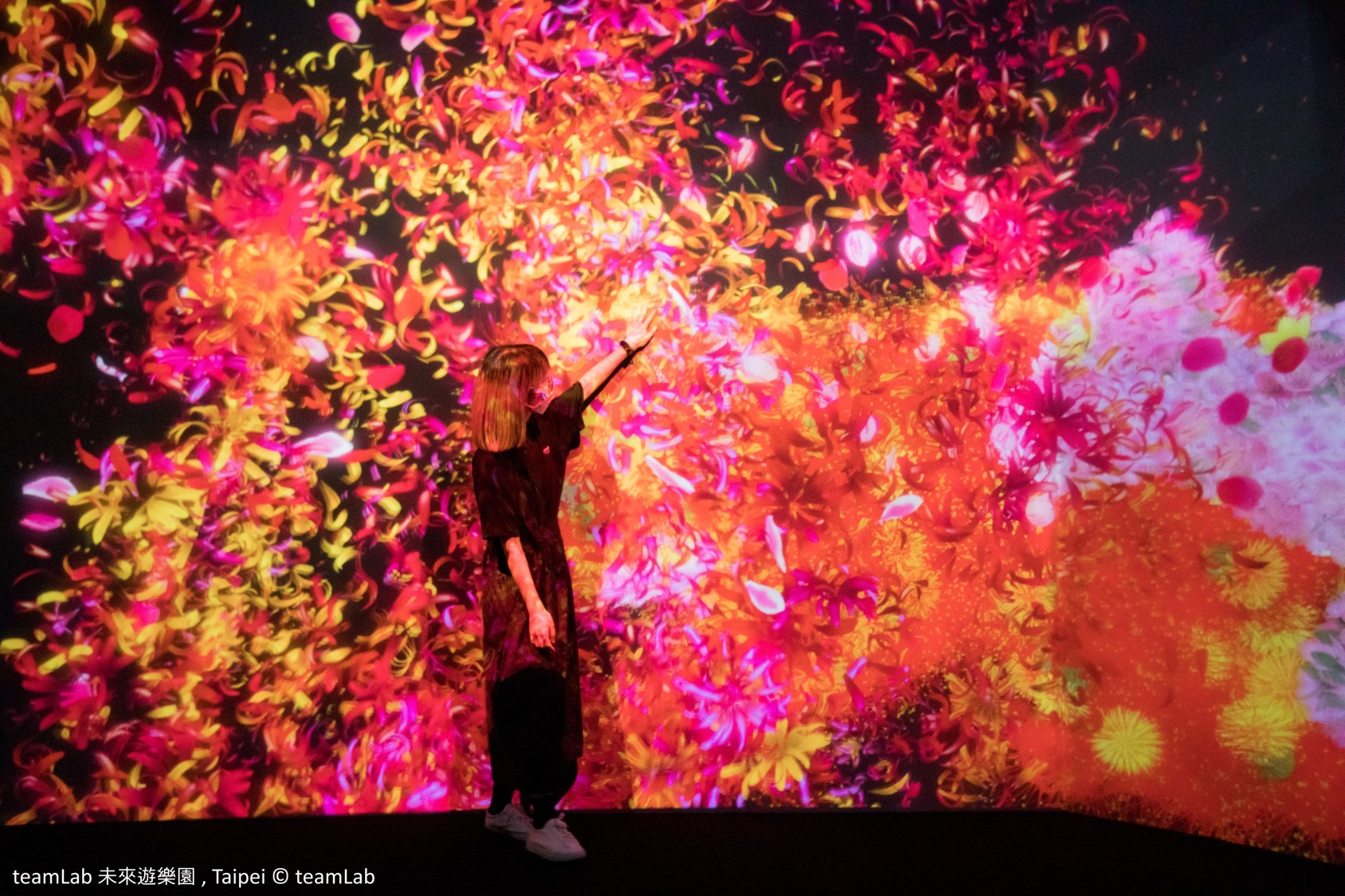 過年連假不如來場充滿文藝氣息的走春，讓身心靈收穫滿滿！（翻攝自teamLab 未來遊樂園臉書）