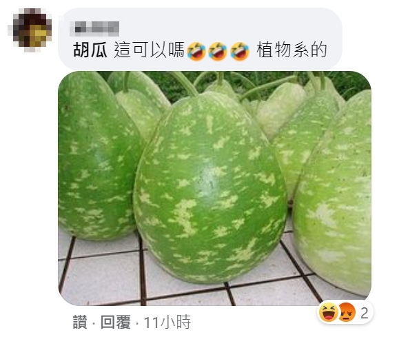 網友找到真的「胡瓜」照片,搞笑問「這可以嗎🤣🤣🤣 植物系的」。(翻攝自胡瓜臉書)