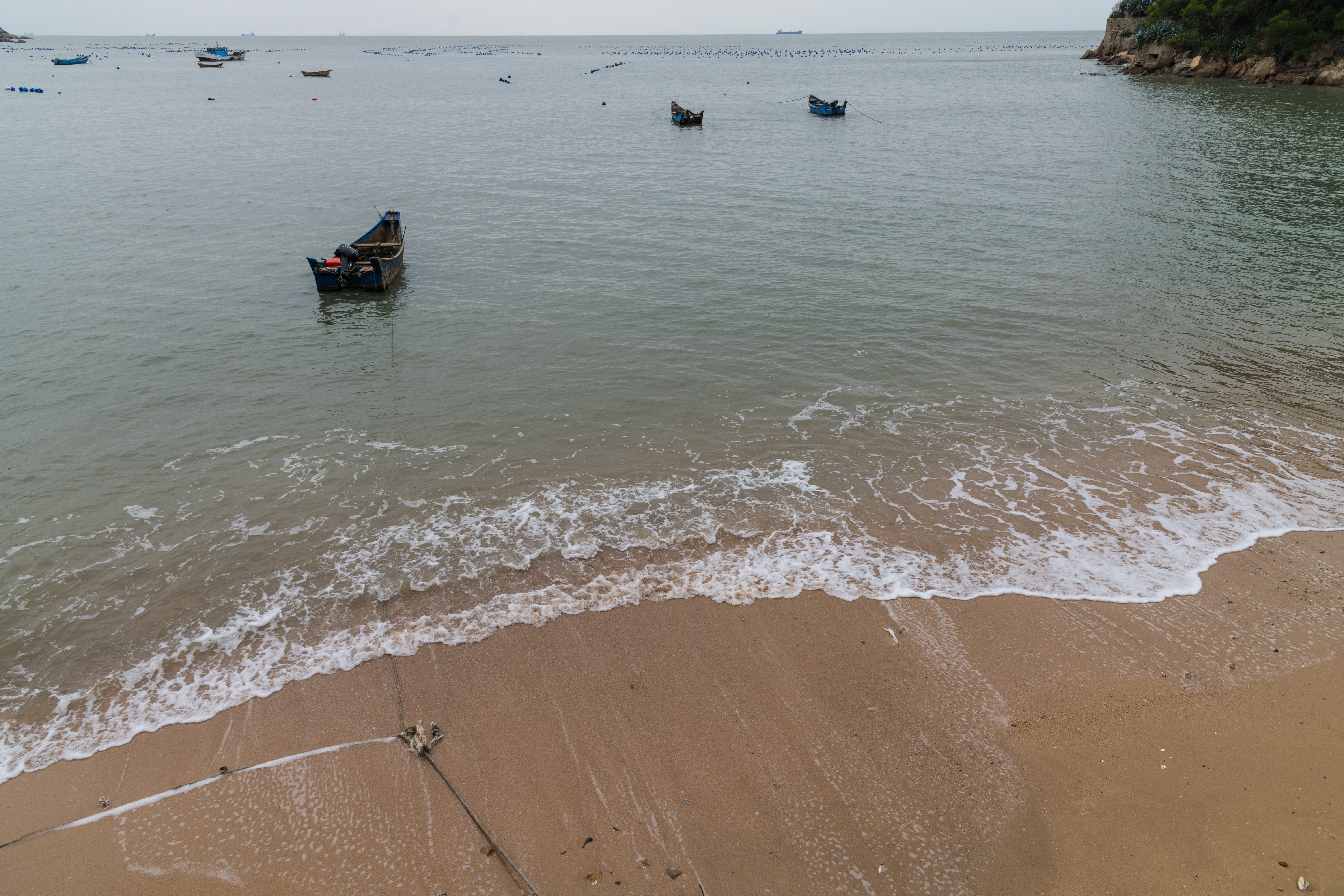 馬祖南竿的芙蓉澳三面環山，每到春夏季，海域迎來大量營養鹽與浮游生物，得天獨厚的地理位置非常適合養殖淡菜。